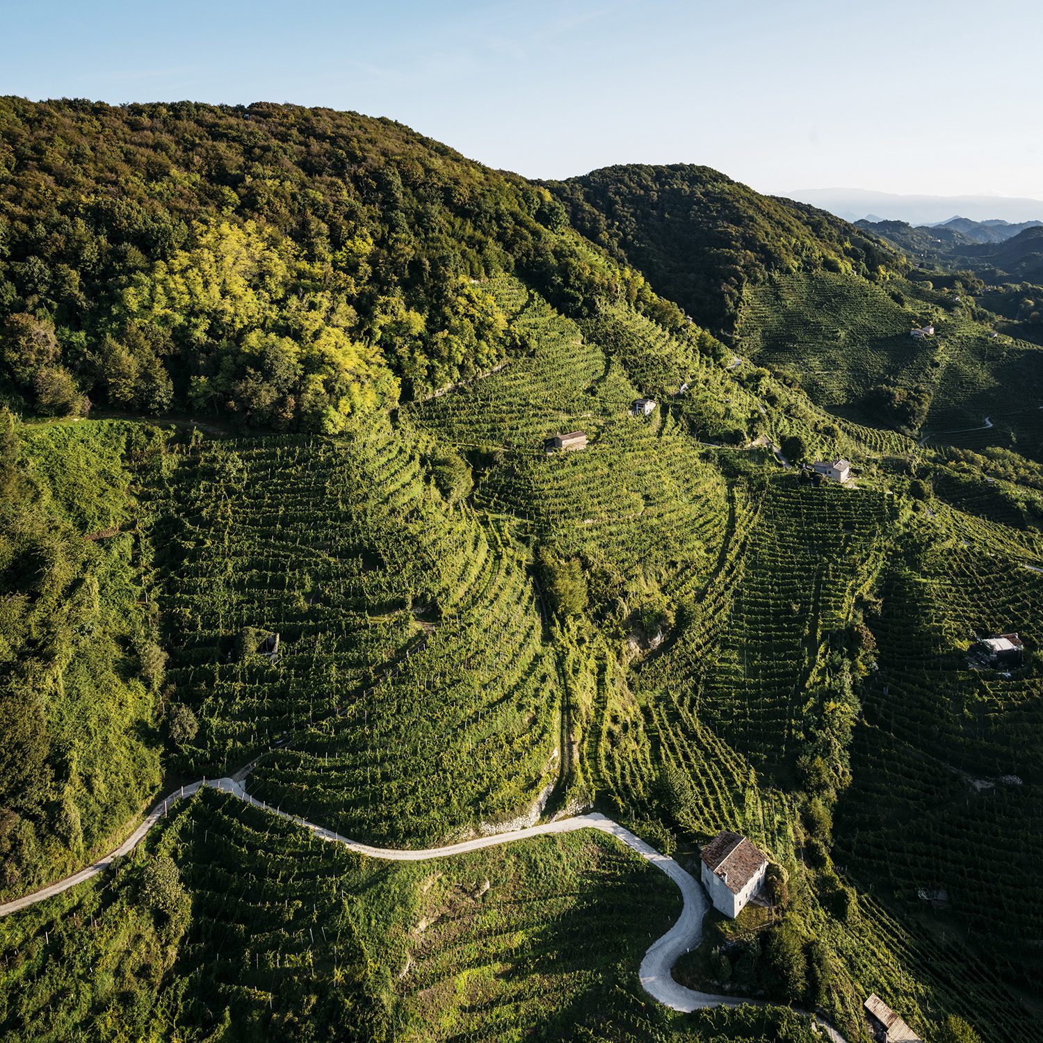 Paesaggio-del-Conegliano-Valdobbiadene-Prosecco-Superiore-DOCG_photo-credits-Arcangelo-Piai_30122020